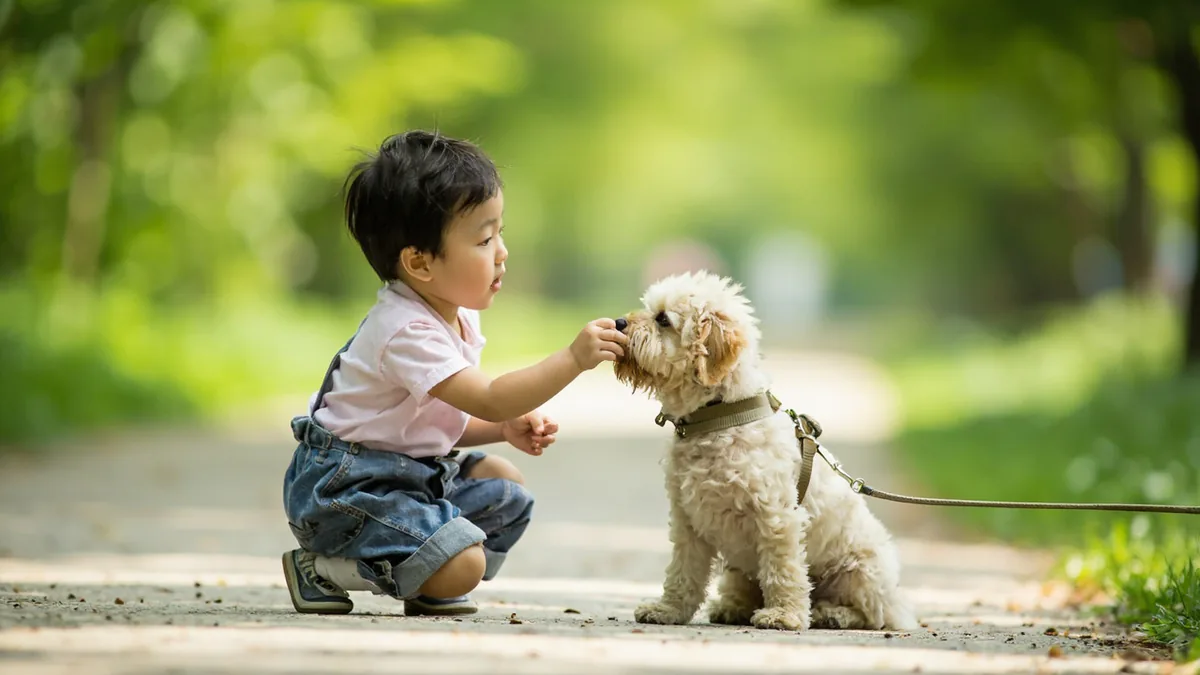 A child gently pets a friendly small dog on a leash, illustrating “dog” in Chinese: 狗 (gǒu)